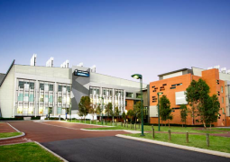 Master of Nursing Practice | Curtin