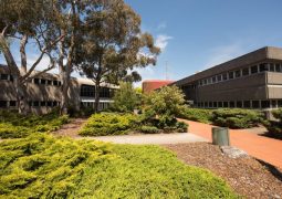 Diploma of Nursing | TasTAFE